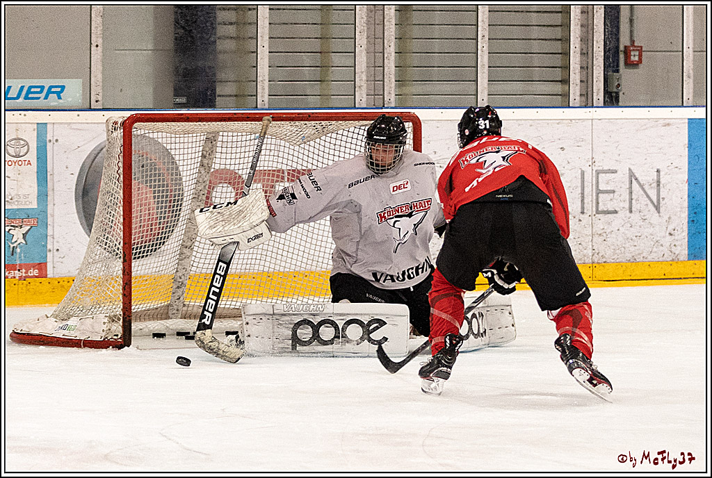Sponsorentraining Kölner Haie 8.6.2022, 08.06.2022